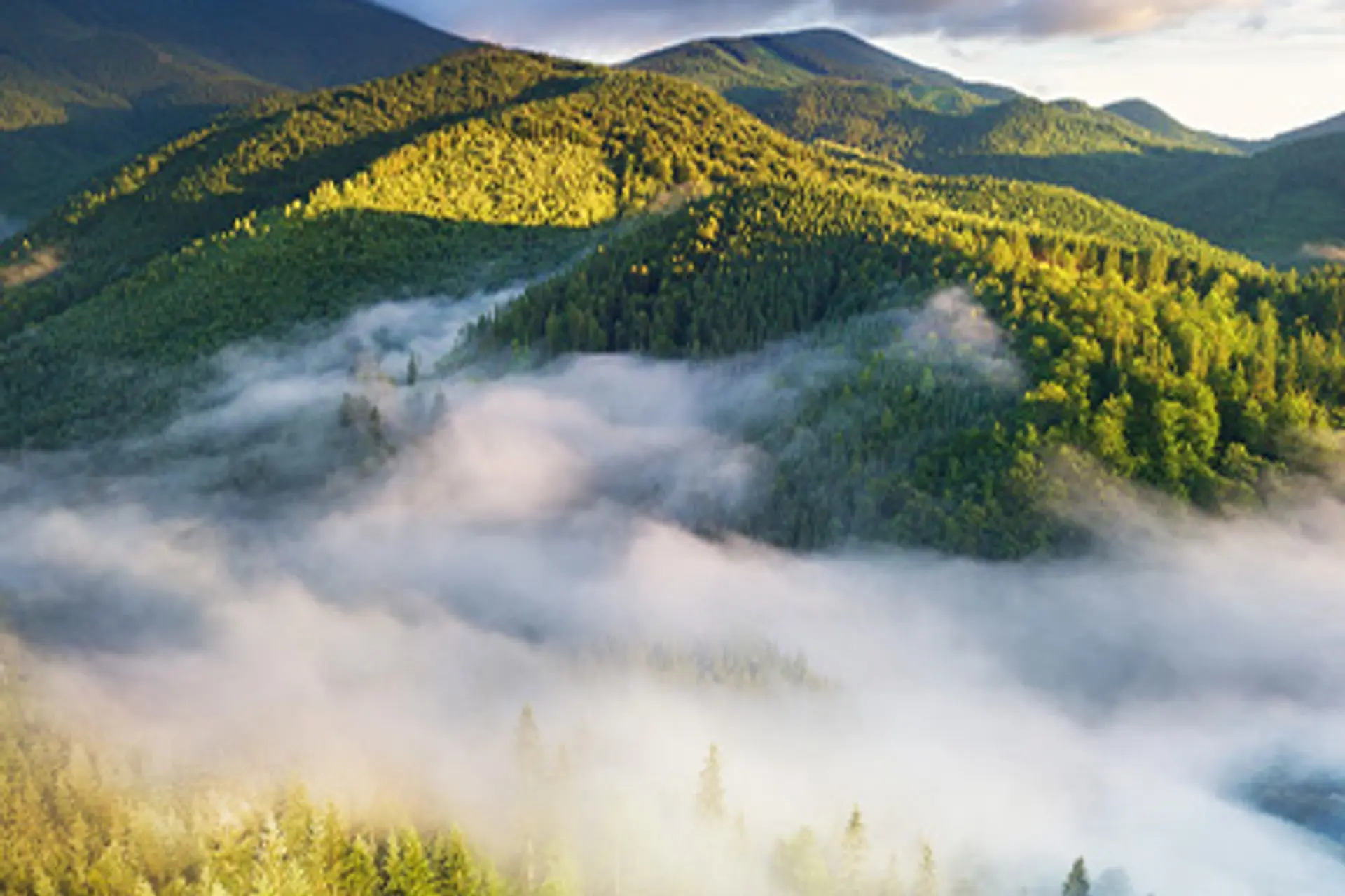 Umgebung & Feldberg — Foto 2