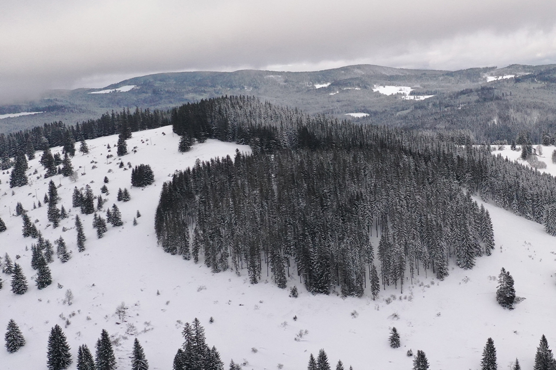 Parken am Feldberg — der ehrliche Guide für Wanderer, Skifahrer und Übernachtungsgäste