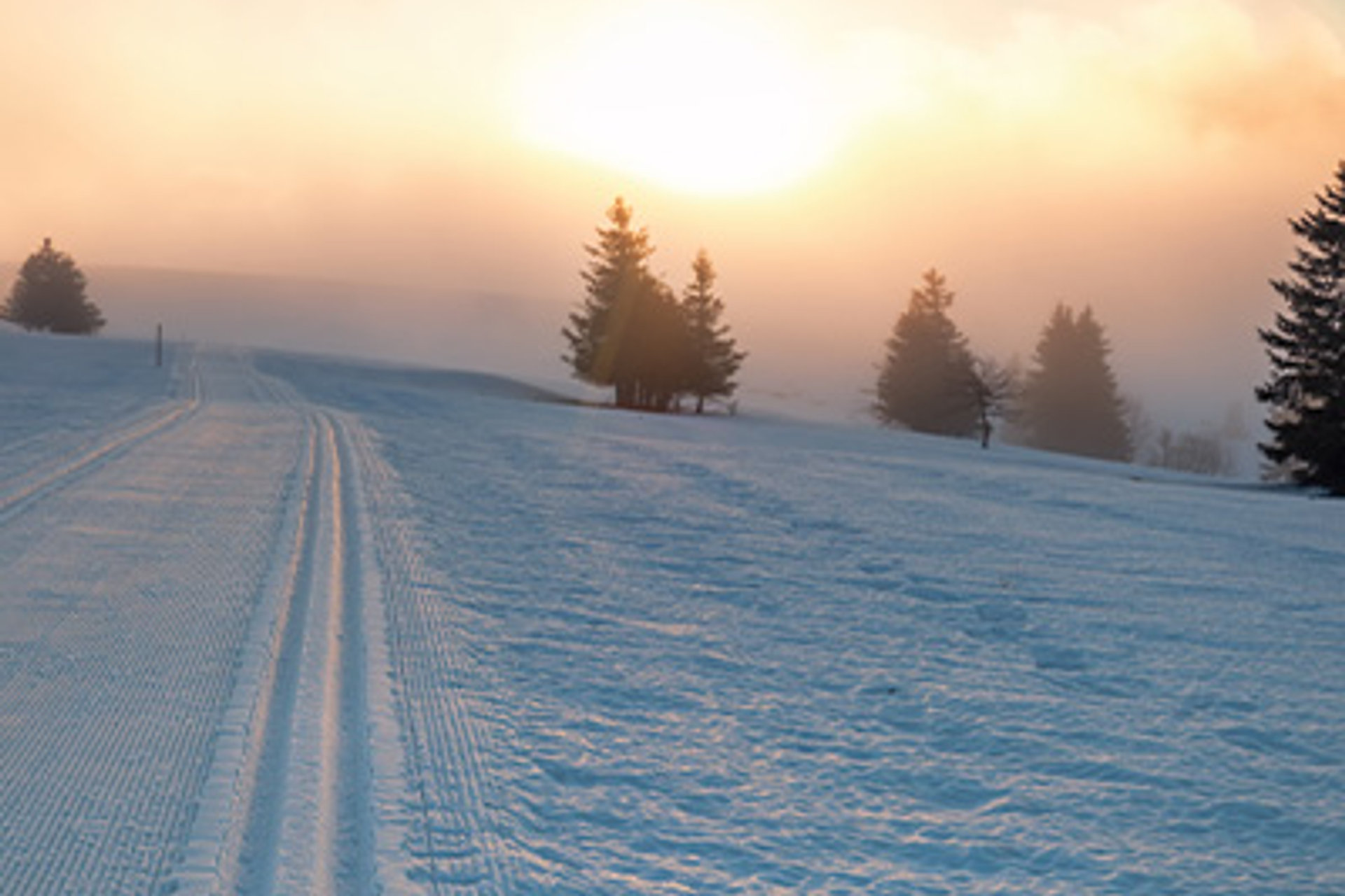 Skifahren am Feldberg: Ihr kompletter Schwarzwald-Guide